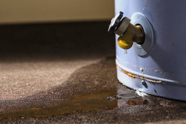 Best Water damage contractors near me  in Long Beach, CA