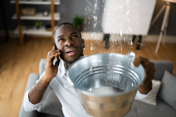 Best Professional water damage repair  in Long Beach, CA