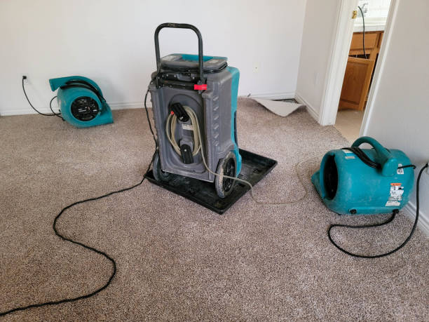Best Commercial water damage restoration  in Long Beach, CA