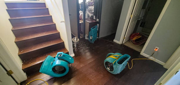 Best Water damage contractors near me  in Long Beach, CA