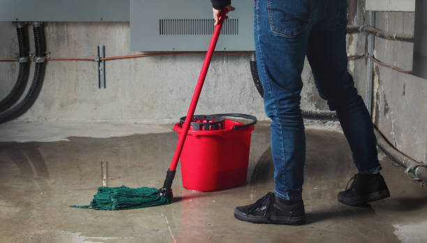 Best Water damage cleanup near me  in Long Beach, CA