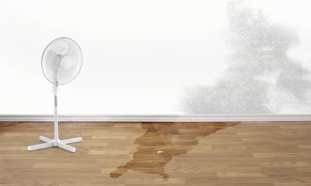 Long Beach, CA Water damage restoration Pros
