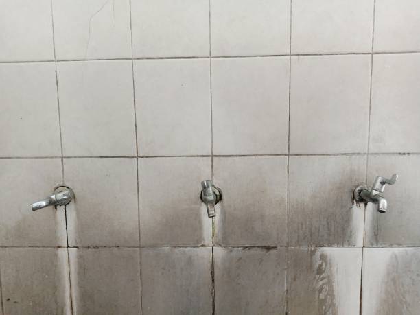 Best 24-hour water damage restoration  in Long Beach, CA