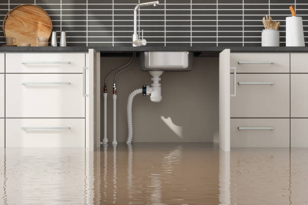 Best Basement water damage restoration  in Long Beach, CA